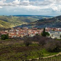 Cultural & Theme Tours