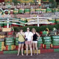 Bus & Minivan Tours