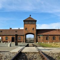 Private Sightseeing Tours