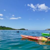 Cruises, Sailing & Water Tours