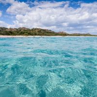 Day Trips & Excursions