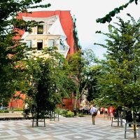 Half-day Tours