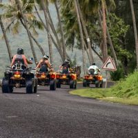 Private Sightseeing Tours