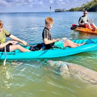 Boat Tours