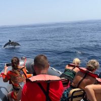 Cruises, Sailing & Water Tours
