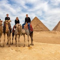 Private & Custom Tours