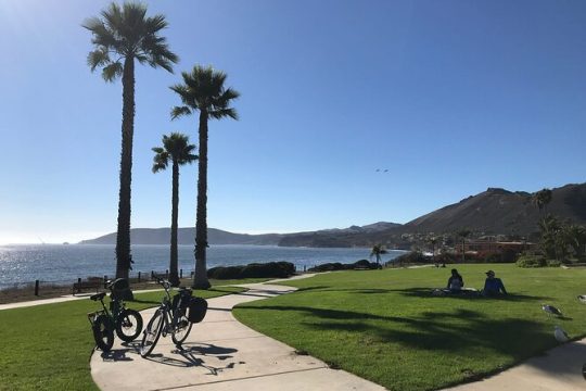 Halloween in Pismo Beach