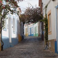 Cultural Tours