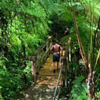 Full-day Tours