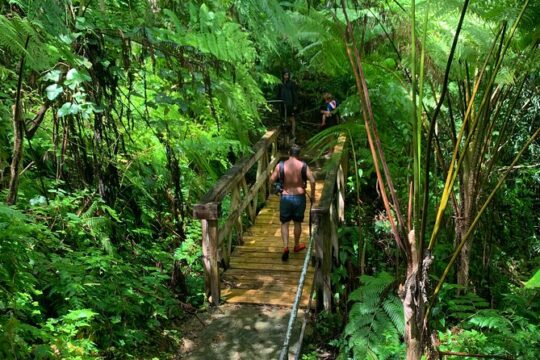 New Year’s Day long weekend in Luquillo
