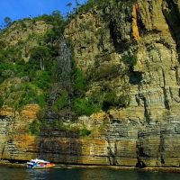 Bus & Minivan Tours