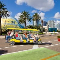 Cultural Tours