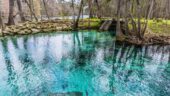 Blue Springs