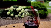 Perfect Afternoon Tasting!!