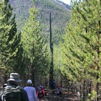 Half-day Tours