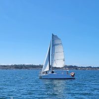 Day Cruises