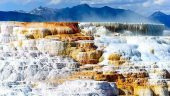 Great travel companion through Yellowstone