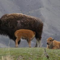 Private Sightseeing Tours