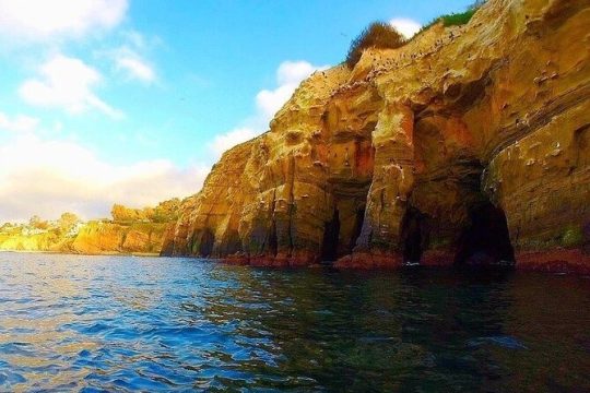 Hanukkah in La Jolla