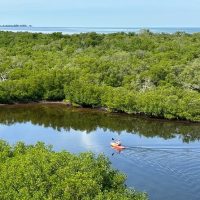 Cruises, Sailing & Water Tours