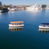 Day Cruises