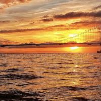 Cruises, Sailing & Water Tours