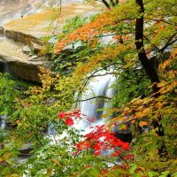 Full-day Tours