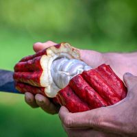 Cooking Classes