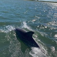 Holiday & Seasonal Tours
