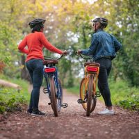 Private Sightseeing Tours