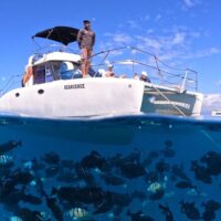 Shore Excursions