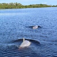 Shore Excursions