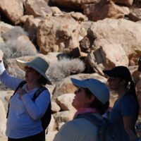 Eco Tours