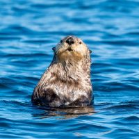Private Sightseeing Tours