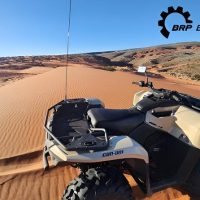 Half-day Tours