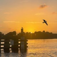Sunset Cruises