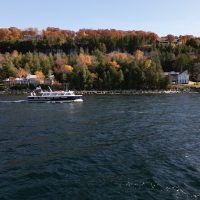 Boat Tours