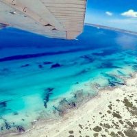 Shore Excursions