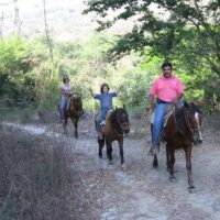 Luxury Tours