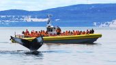 Whale Watching Trip