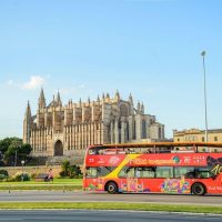 Ports of Call Tours
