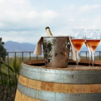 Wine Tasting & Winery Tours