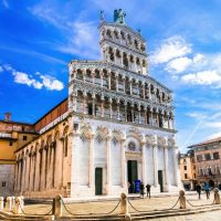 Bus & Minivan Tours