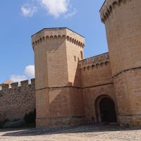 Shore Excursions