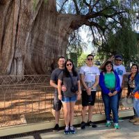 Cultural Tours