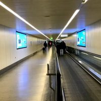 Day Trips & Excursions
