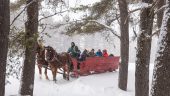 Nothing beats a winter sleigh ride