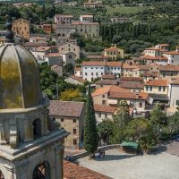Bus & Minivan Tours