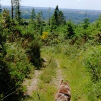 Hiking & Camping