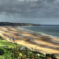 Bus & Minivan Tours